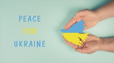 Hands holding dove in the colors of the ukrainian flag, war with Russia, peace for Ukraine