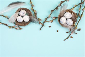 Easter holiday background, nest with small eggs, branches of pussy willow, greeting card, spring