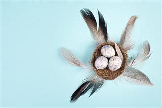 Easter holiday background, nest with small eggs, bird feathers, greeting card, spring season, blue