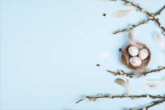 Easter holiday background, nest with small eggs, branches of pussy willow, greeting card, spring