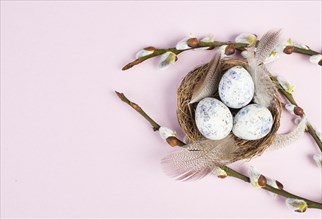 Easter holiday background, nest with small eggs, branches of pussy willow, greeting card, spring