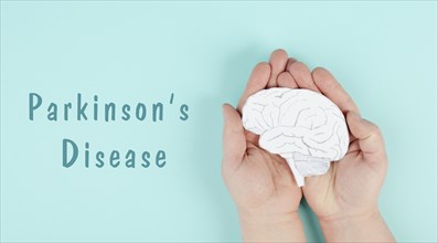 Parkinson's disease is standing on a paper, hands holding brain, dementia diagnosis, Alzheimer's