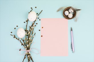 Easter holiday and spring background, empty paper for text, pastel colors, nest with eggs, pussy