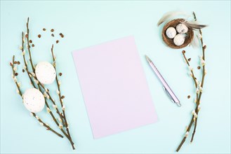 Easter holiday and spring background, empty paper for text, pastel colors, nest with eggs, pussy