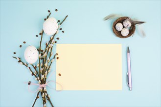 Easter holiday and spring background, empty paper for text, pastel colors, nest with eggs, pussy