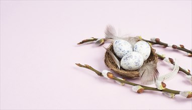 Easter holiday background, nest with small eggs, branches of pussy willow, greeting card, spring