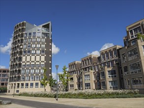 Modern buildings and green spaces in sunny weather, Doesburg, Gelderland, Netherlands