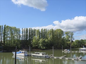 Small harbour with several boats, surrounded by green trees and a cloudy sky in sunny weather,