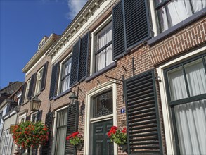 Historic houses with black shutters and blooming flowers in pots in front of brick walls on a sunny