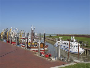 Fishing boat and an excursion boat moored in a quiet harbour on a sunny day, Ditzum, rheiderland,