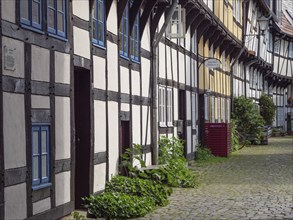 Cobbled street with traditional half-timbered houses and green plants in front of the doors,