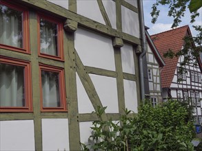 Detailed view of a half-timbered house with red framed windows and surrounded by green vegetation,