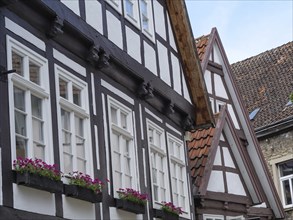 Row of traditional half-timbered houses with white windows decorated with flower pots, Detmold,