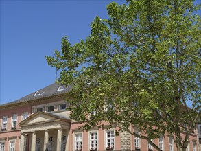 Large historic building behind a green tree under a clear blue sky, Detmold, North