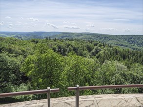 Far-reaching view of densely wooded area under a slightly cloudy sky, Detmold, North