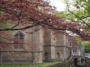 Scene of an old brick building with a red tree, a small bridge and a quiet canal, Delft, Holland,