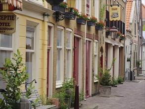 Narrow street with historic brick houses, decorated with flower pots and colourful signs, Delft,