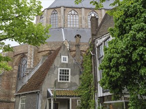 Historic building with Gothic architecture, surrounded by ivy and green trees, Delft, Holland,