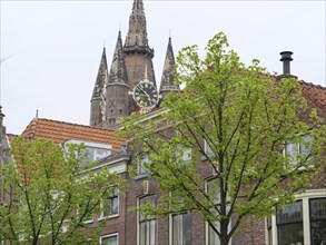 Historic church with a high bell tower, surrounded by trees and residential buildings, Delft,