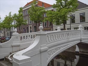 White decorative bridge over a canal, surrounded by houses and green trees, Delft, Holland,