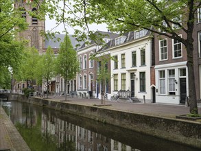 Scenic street with trees and houses along a canal, Delft, Holland, Netherlands