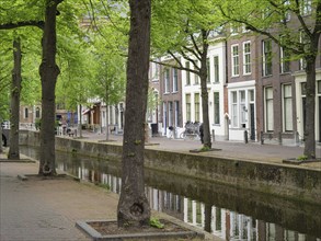 Quiet street with trees along a canal and traditional buildings, Delft, Holland, Netherlands