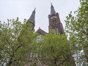 Gothic church towers behind blossoming trees under a cloudy sky, Delft, Holland, Netherlands