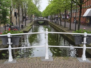 Bridge over a quiet canal in a tree-lined street, Delft, Holland, Netherlands