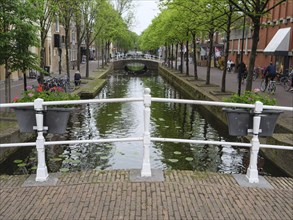 A quiet canal with bridge, flanked by trees and houses, Delft, Holland, Netherlands