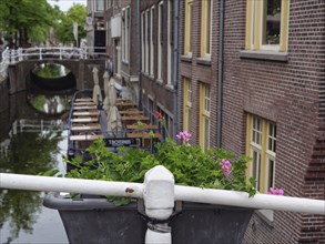 Flower arrangement with a view of a canal and a boat under a bridge, Delft, Holland, Netherlands