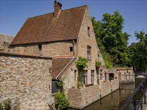 Historic brick house on the waterfront with window plants and greenery, Bruges, Flanders, Belgium,