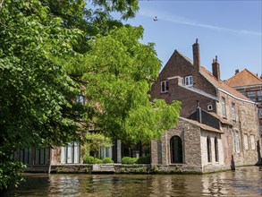 Brick house with green trees and wide windows on the riverbank in a harmonious setting, Bruges,