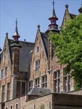 Large historic brick building with towers and many windows, next to a tree, Bruges, Flanders,