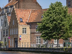 Brick houses along a canal with green trees and a sunny atmosphere in Brugge, Bruges, Flanders,