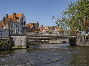 Bridge over a canal with flowers on it and historic buildings, surrounded by trees and a clear