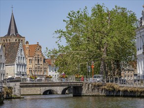 Bridge over a canal with historic buildings and trees in the background under a clear blue sky,