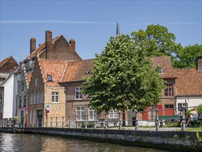 Historic houses along a canal, surrounded by green trees and calm water, Bruges, Flanders, Belgium,