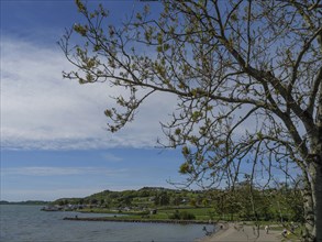 Quiet coastal scene with trees and beach under a partly cloudy sky, ideal for relaxation,