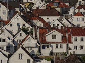 Densely built white houses with red roofs in a Norwegian city, Stavanger, Norway, Scandinavia,