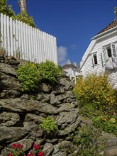 Rock garden with flowering plants next to a white wooden house in sunny weather, Stavanger, Norway,