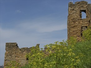 Fortified stone wall ruins with plants in the foreground and blue sky in the background,