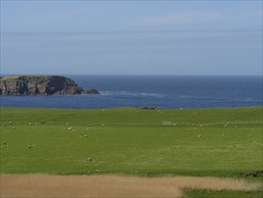 View over green fields to the wide blue sea with rocky coast, calm and wide atmosphere, lerwick,
