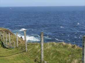 View of the sea from a grassy cliff edge with a fence, lerwick, shetlands, scotland, uk