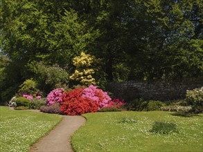 A well-kept garden with colourful blooming azaleas and a small path, inverness, scotland, Great