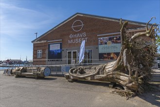 Old trading town of Faborg, Ohavsmuseet, Inselmeer Museum at the harbour, Danish South Sea,