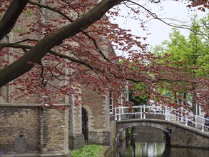 Scenic view of a brick building with a decorative bridge and red deciduous tree in spring, Delft,