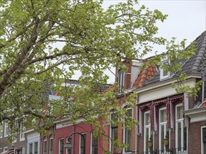 A cityscape with trees and brick houses with tiled roofs, Delft, Holland, Netherlands