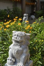 Stone lion statue in a blooming garden full of yellow flowers, Pattaya, Thailand, Asia