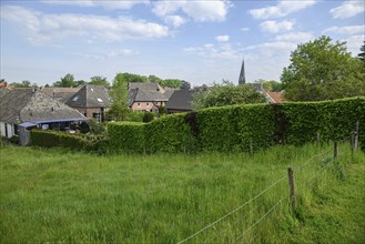 Village view with houses, well-kept hedge, green meadow and blue sky with clouds, Bredevoort,