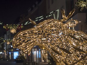 Close-up of a moss figure illuminated with fairy lights at night, bocholt, Münsterland, North